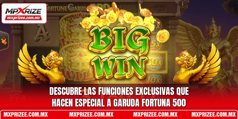 Descubre las funciones exclusivas que hacen especial a Garuda Fortuna 500